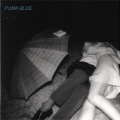 (She's) Just a Phase by Puma Blue
