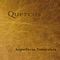 Ned Ludd - Quercus lyrics