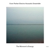 Evan Parker Electro-Acoustic Ensemble - Incandescent Clouds