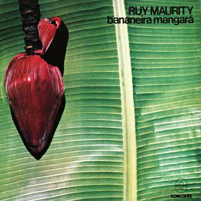 Bananeira Mangará - Ruy Maurity