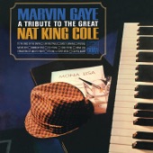 Marvin Gaye - Unforgettable