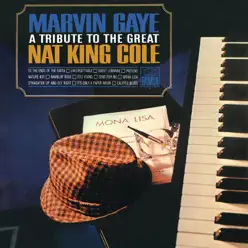 A Tribute to the Great Nat King Cole - Marvin Gaye