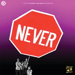 Never Stop (Pink Enemy Remixes) - Single by The Brand New Heavies album reviews, ratings, credits
