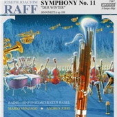 Raff: Orchestral Works artwork