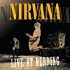 Nirvana: Live At Reading