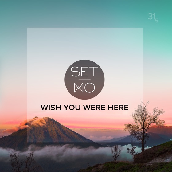 Cover artwork for Wish You Were Here