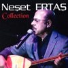 Neşet Ertaş Collection