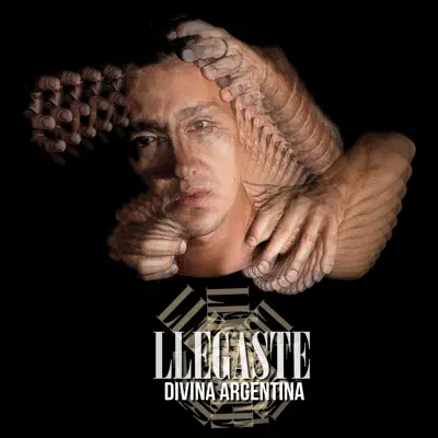 Llegaste - Single - Divina Argentina