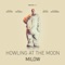 Howling At the Moon - Milow lyrics