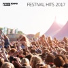 Festival Hits 2017, 2017