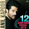 Anil Kapoor - 12 Jhakaas Music Hits