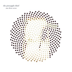 The Pineapple Thief - Preserve