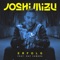 Erfolg (feat. RAF Camora) - Joshi Mizu lyrics