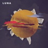 Luna (feat. Fernando Milagros) - Single