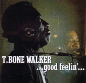 T-Bone Walker - Woman You Must Be Crazy
