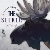 The Seeker artwork