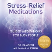 Stress Relief Meditations: Guided Meditations for Busy People artwork