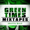 Shatta Wale - My Homeland (Korle Gonnor)