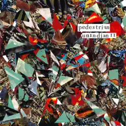 unIndian II - Pedestrian