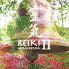 Reiki: Mãos Sagradas, Vol. 2, 2017