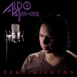 Sentimientos - Single - Aldo Añamuro