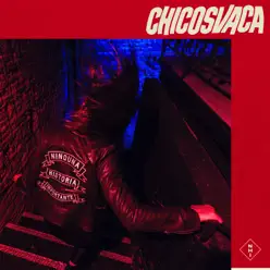 Ninguna Historia Importante - Chicosvaca Ninguna Historia Importante - Chicosvaca