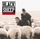 Black Sheep - The Choice Is Yours (Revisited)