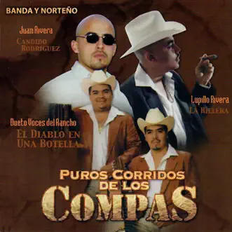 Puros Corridos de los Compas by Various Artists album reviews, ratings, credits