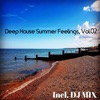 Deep House Summer Feelings, Vol. 02 (Mixed by Avi Pasko)