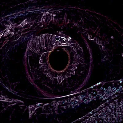 Paramour (The Dark Poet) - Metus Paramour (The Dark Poet) - Metus
