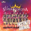 Instinto Animal, 2016