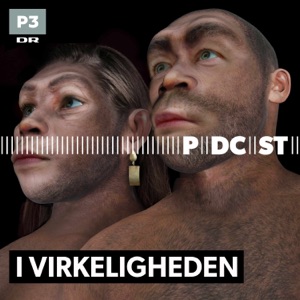 I virkeligheden - Overvågning 2018-02-28