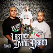 Last of the Dying Breed artwork