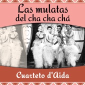 Las Mulatas Del Cha Cha Chá artwork
