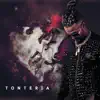 Tonteria - Single album lyrics, reviews, download