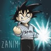 Zanim - Single