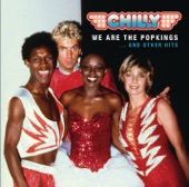 We Are the Popkings ... and Other Hits artwork