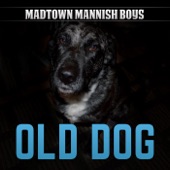 Madtown Mannish Boys - Blues Don't Care