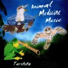 Animal Medicine Music