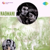 Pinjre Ke Panchhi (From "Nagmani") artwork