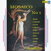 Mosaico Numero 1 (with Poli Martinez) artwork