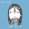 See Night - Silver Lining