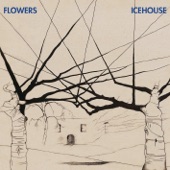 Icehouse (30th Anniversary Edition) artwork
