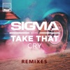 Cry (feat. Take That) [Remixes] - EP