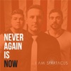 Never Again Is Now - Single