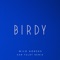 Wild Horses (Sam Feldt Remix) - Birdy lyrics