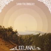 dana falconberry - Please Sparrow