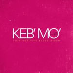 Keb' Mo' - A Better Man