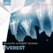 Everest - Re:Locate & Robert Nickson lyrics