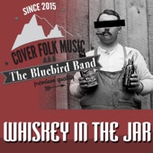 Whiskey in the Jar (Cover Version) artwork